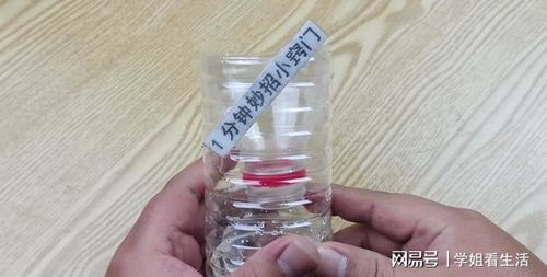 巧用塑料瓶與白糖，輕松安全消滅家中蒼蠅